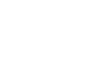 © die feisten