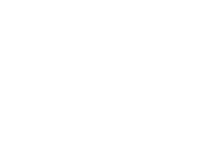 © Planea Basic