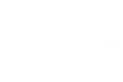 Nowotny Beratung